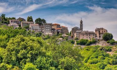 Apartments in Taglio-Isolaccio