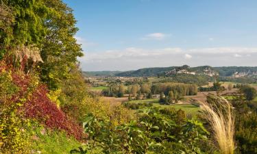 Cottages in La Coquille