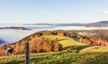 Hótel með bílastæði í Kirchberg