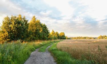 Готелі з парковкою у місті Užava