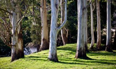 Nastanitve z opremo za kuhanje v mestu Mahogany Creek