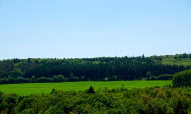 Family Hotels in Nachtsheim