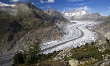 Alquileres vacacionales en Fieschertal