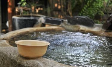 Alojamientos con onsen en Nakanojo