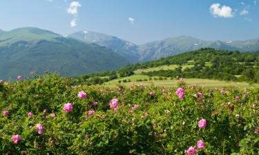 Guest Houses in Kalofer