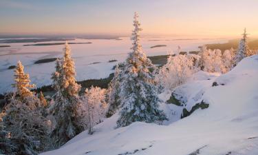 Hoteller i Kolinkylä