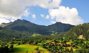 Alquileres vacacionales en Krummenau