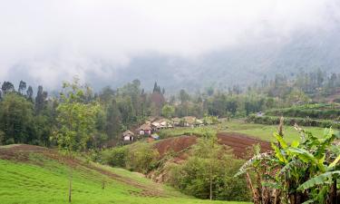 Hotel dengan kolam renang di Trawas