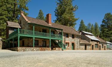 Pet-Friendly Hotels in Grass Valley