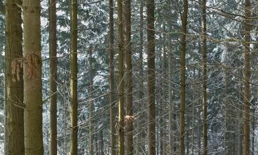 Готелі з парковкою у місті Neuler