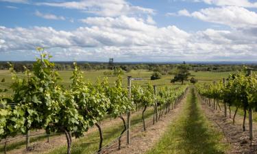 Cabañas en Red Hill