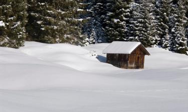 Ski Resorts in Steeg