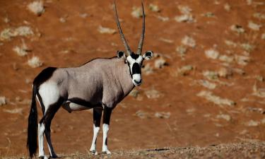 The 10 best lodges in Solitaire, Namibia The 10 best lodges in Solitaire, Namibia