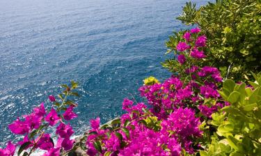 Apartments in Moneglia