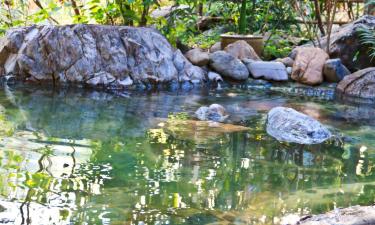 Ryokans in Gero