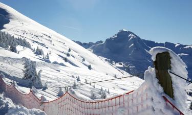 Chalets de montaña en Sixt