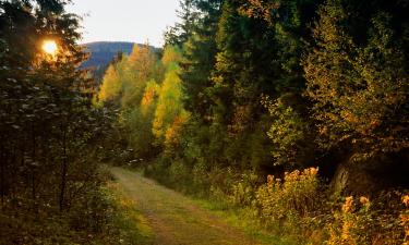 Варианты жилья у пляжа в городе Беннекенштайн