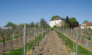 Hotels mit Parkplatz in Hochheim am Main