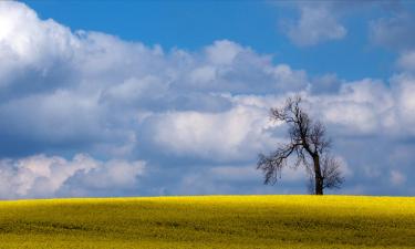 Готелі з парковкою у місті Hopwood