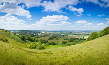 Economize nas férias em Hoddesdon