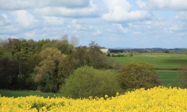 Cottages in Market Drayton