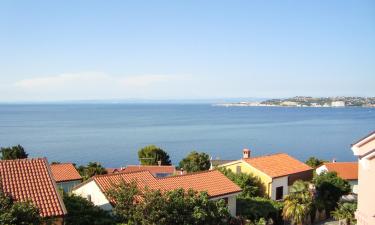 Holiday Rentals in Crveni Vrh