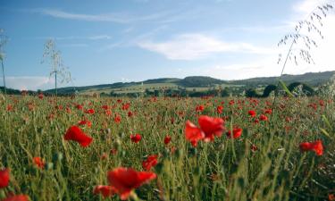 Hoteller i Royal Wootton Bassett