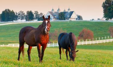 Accessible Hotels in Winchester