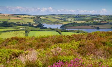 B&Bs in Crewkerne