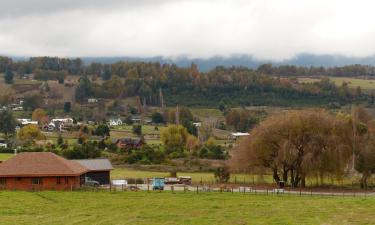 Holiday Homes in Futrono