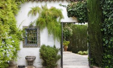 Apartments in Baena