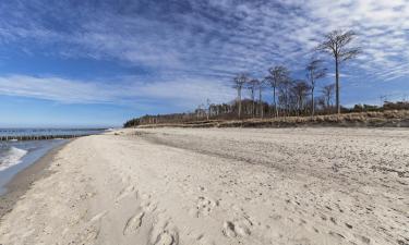 Lägenheter i Markgrafenheide