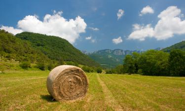 Alquileres vacacionales en Dury