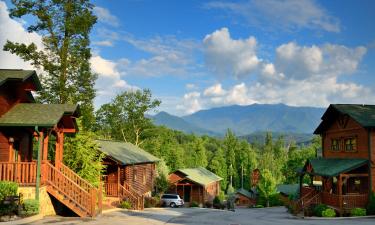 Коттеджи в городе Chalet Village