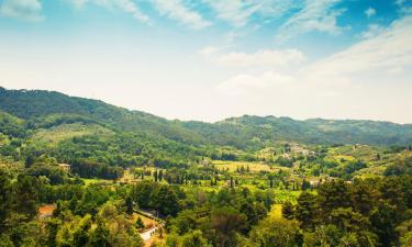 Hotels with Pools in Monteverdi Marittimo