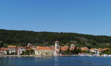 Apartments in Veli Iž