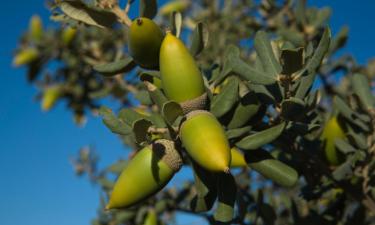 Hoteles familiares en Monistrol de Calders