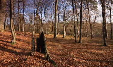 Górzno şehrindeki otoparklar