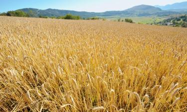 Appartamenti a Saint-Bonnet-en-Champsaur