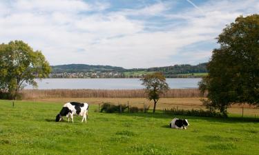 Ferienwohnungen in Effretikon