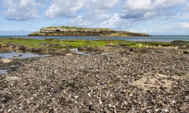 Alojamientos en la playa en Moelfre