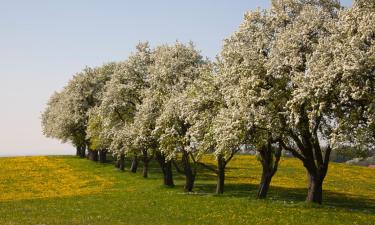 Hotels with Parking in Waidhofen an der Ybbs