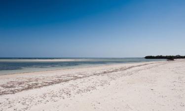 Hoteles de playa en Msambweni