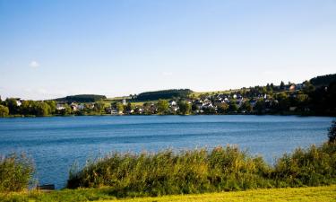 Ferienwohnungen in Leiwen