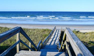 Hotel Ramah Hewan Peliharaan di Ponte Vedra