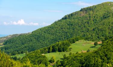 Hoteli u gradu Kraljevo