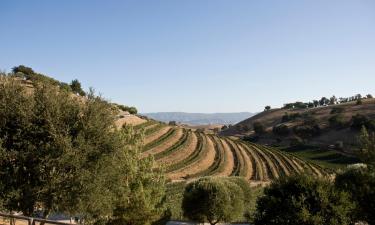 Hoteles en Santa Ynez