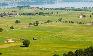 Hotels in Allersberg