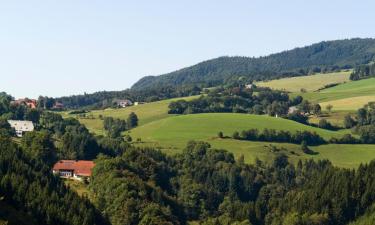 Cheap hotels in Hausach