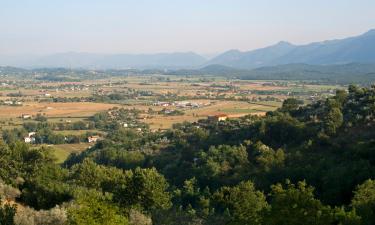 Hoteles familiares en Ferentino